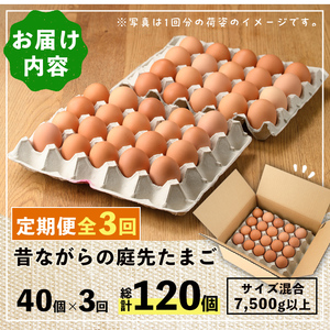 【C7048】《定期便・計3回》昔ながらの庭先たまご (40個×3回 計120個・サイズ混合) 卵 玉子 たまご 定期便 平飼い 40個 濃厚 うまみ 卵かけご飯 目玉焼き 卵焼き ごはん おかず【フ