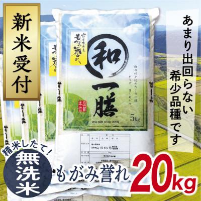 ふるさと納税 最上町 【無洗米】令和7年産山形県産もがみ誉れ20kg