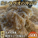 【ふるさと納税】 生シラウオの沖漬け 600g (100g×6P) 1パック2人前 白魚 シラウオ 沖漬け 小魚 醤油 タレ 魚介類 無添加 魚介 海の幸 海 魚 贈答 ギフト プレゼント 贈答 記念日 お祝い 送料無料 ふるさと納税 飯岡ヤマイチ水産-大納屋- 千葉県 旭市