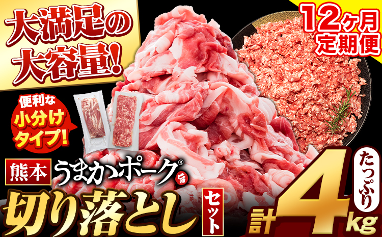 12ヶ月定期便 熊本うまかポーク 切り落とし セット 計12回お届け 約400g前後×7袋 切り落とし2.8kg+ミンチ1.2kgセット 計4kg 《お申込み月の翌月から出荷開始》 個別 個別包装 大容量 ブタ 豚肉 小分け 切り落とし 不揃い