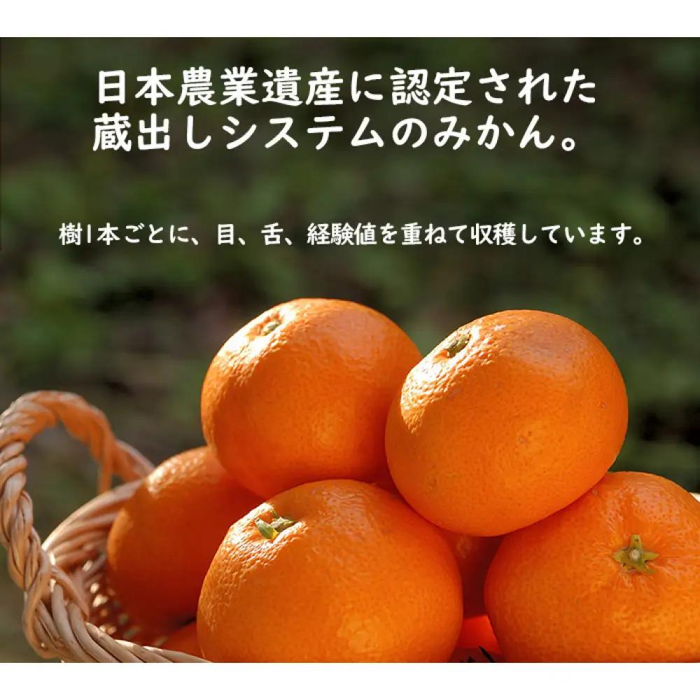 【定期便4か月】みかん 5kg 4回 お届け ご家庭用混合サイズ 早生・蔵出しみかん