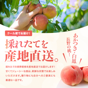 南信州産 桃 約3kg〈 あかつき ・ 白鳳 〉 【2025年7月より順次発送】 | 果物 くだもの フルーツ 柿 桃 もも あかつき 白鳳 長野県 信州 南信州 飯田市