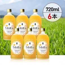 デコポンストレート果汁入梅酒「うめぽん」720ml　6本セット