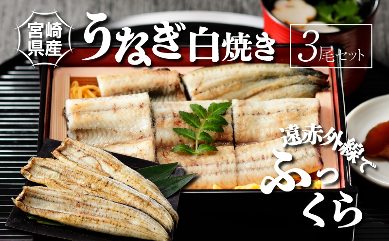 
                  宮崎県産うなぎ白焼き 3尾 セット - 鰻 白焼き 国産 素焼き 塩/わさび/抹茶塩/わさび醤油 酒のつまみ おつまみ 肴 うなぎの蒲焼き/ひつまぶし うな丼 うな重 鰻重 鰻丼 鰻巻き 惣菜 タレ別添え K10_0010_3 
                