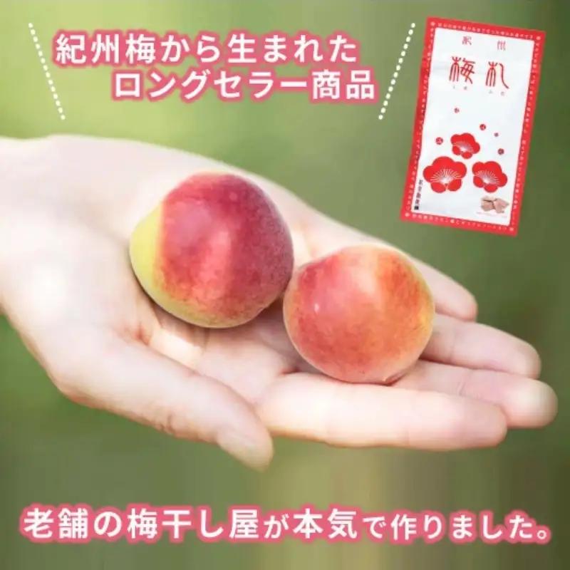 紀州梅札 14g×30袋　梅づくり100年「紀州ほそ川」の梅お菓子　hoso005A【hoso005A】