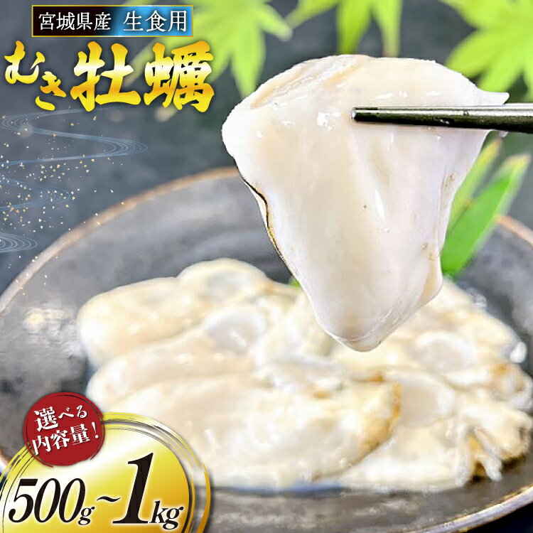 【ふるさと納税】 【期間限定発送】 宮城県産 むき牡蠣 生食用 【内容量が選べる】 [及新 宮城県 南三陸町 30aw0007] かき カキ 牡蠣 生牡蠣 貝 魚介類 剥き身 むき身 殻なし 冷蔵 新鮮 なべ カキフライ 牡蠣ご飯 濃厚 500g 1kg