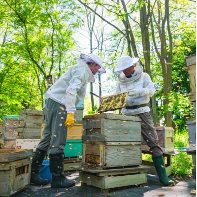 ふるさと納税 滝沢市 非加熱はちみつ　春の百花(さくら)300g×2本 |  | 02