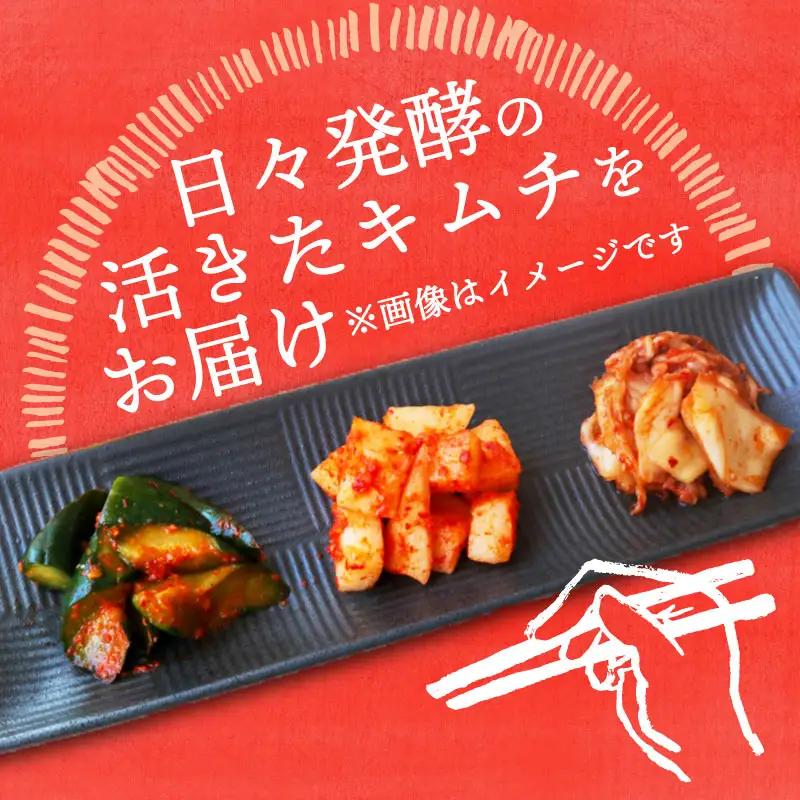 土佐キムチ 【300g×3】 合計900g 大根キムチ