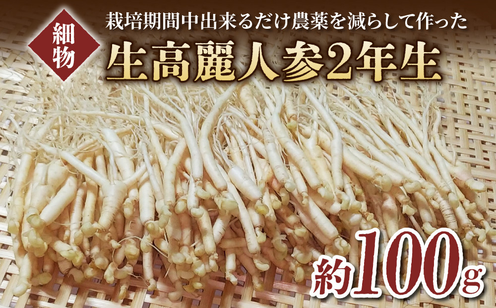 
【長野県東御市産】栽培期間中出来るだけ農薬を減らして作った国産生高麗人参 2年生 細物 約100g（2024年10月中旬〜12月上旬頃お届け予定）
