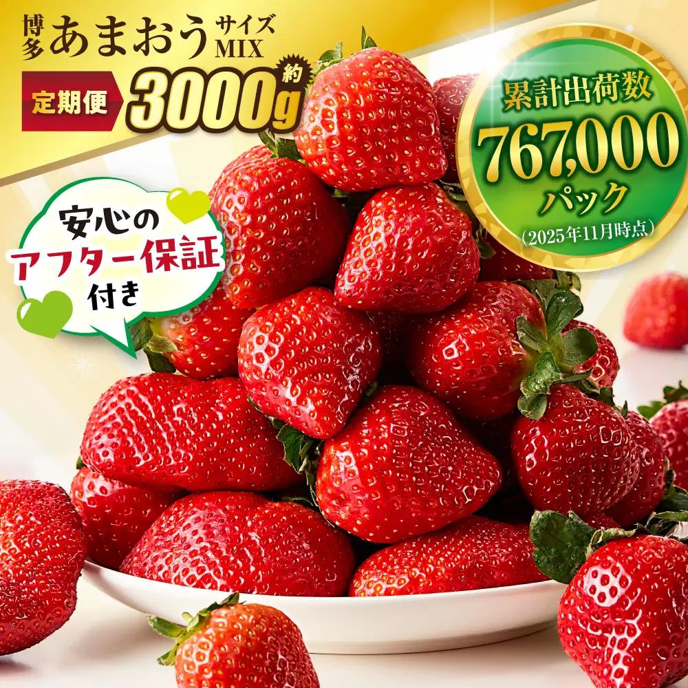 【定期便／3ヶ月連続お届け】大人気のあまおう 250g×4パック 計3回 総量3.0kg 3ヶ月定期便 福岡県産いちご【JAほたるの里】_HB0032