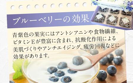 【農家直送】完熟生ブルーベリー（サザンハイブッシュ系）600g（100ｇ×6パック）2025年発送 土佐ひらやま農園