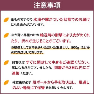 【福岡県久留米市産】熟成さつまいも（紅はるか）5kg ＜定期便－2ヶ月毎に6回お届け＞ 〔Tk011〕