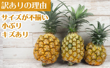 【2026年発送】訳ありパイン 4~8玉 約4.8kg(ボゴールパイン) パイン パイナップル ぱいなっぷる ボゴール 訳あり 訳アリ 不揃い 家庭用 国産パイン パインアップル スナック ちぎって食