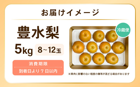【先行予約】豊水梨 1箱 5kg入り (8～12玉) 樹上完熟！濃厚な甘さに手が止まらない！甘～いゆみたかの豊水梨 【2025年8月中旬以降順次発送予定】【梨 和梨 赤梨 なし フルーツ 甘い みずみ