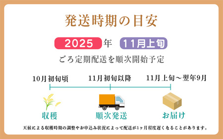 【先行受付】定期便6回(奇数月発送) 2024年産 新米「きりしまのゆめ」ヒノヒカリ6kg×6回 霧島湧水が育むの減農薬栽培のお米（令和6年産・特別栽培米・無洗米・真空チャック式）