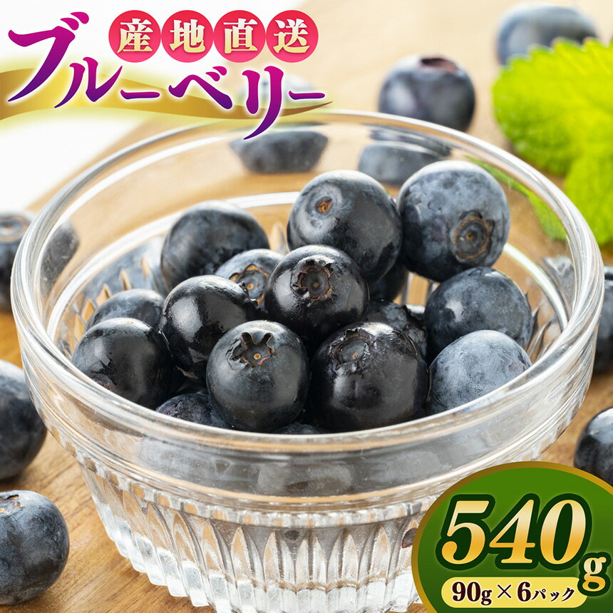 【ふるさと納税】【堀内果実園】奈良県産 特別栽培 ブルーベリー90gx6Pセット | フルーツ 果物 くだもの ベリー 奈良県 五條市 低農薬 季節限定
