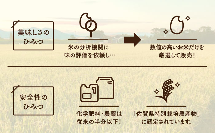 【先行予約 2026年11月～発送】【6回定期便】令和8年産 こだわりのさがびより 10kg×6回（白米）【白浜農産】令和8年産 米 60kg 10kg お米 さがびより 特A 特別栽培米 佐賀 白石