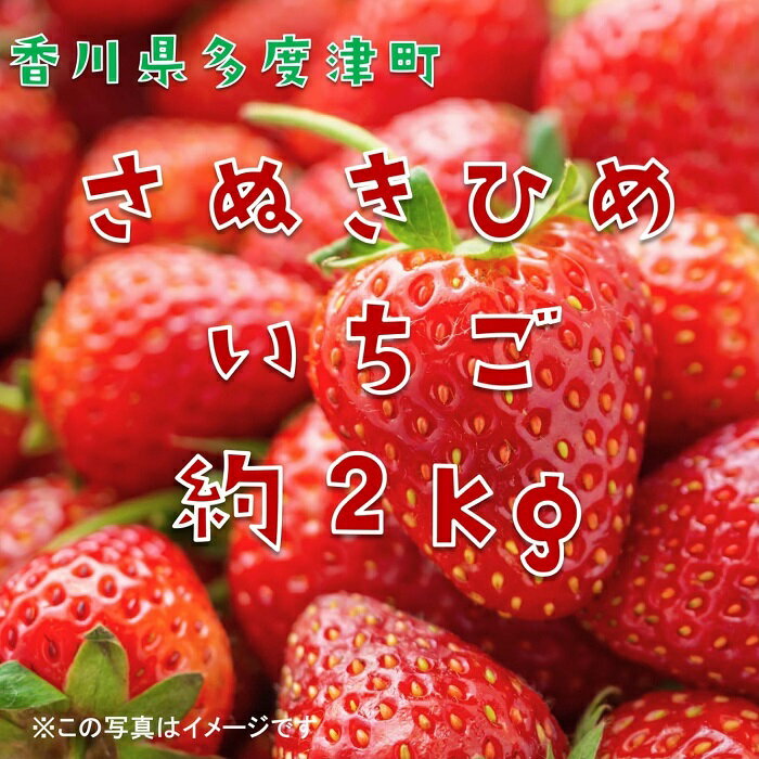 【ふるさと納税】香川県オリジナル品種 さぬきひめいちご 約2kgパック【令和8年2月中旬頃より発送】〔提供：株式会社ことひら街道〕しあわせ製麺 甘い ジューシー いちご 苺 イチゴ