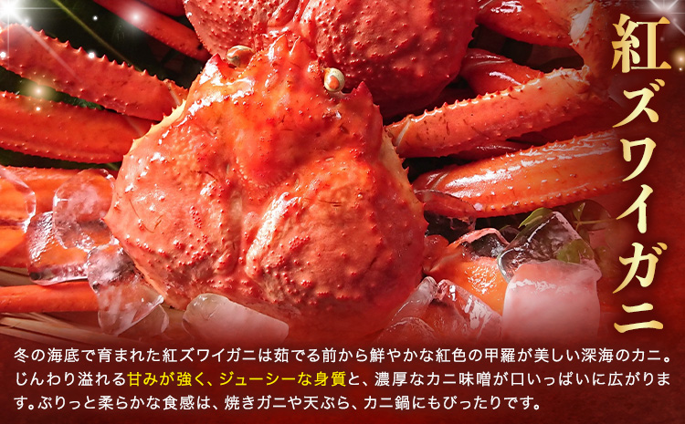 【ふるさと納税】カニ 紅ズワイガニ 3kg(6杯 〜 7 杯) 《9月上旬-5月末頃出荷》 SOO合同会社 鳥取県 八頭町 送料無料  蟹 かに 姿 鍋 ズワイガニ  ズワイ蟹 ボイル ベニズワイ ベ