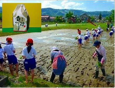【頒布会】南魚沼産（しおざわ）こしひかり農薬不使用米精米２Kg×12回