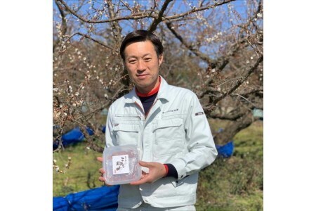 【0531-5】紀州南高梅 はちみつ梅500g、こんぶ風味梅500g 食べ比べセット