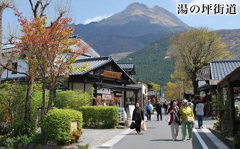 大分県由布市ANAトラベラーズホテル割引クーポン（30,000点）