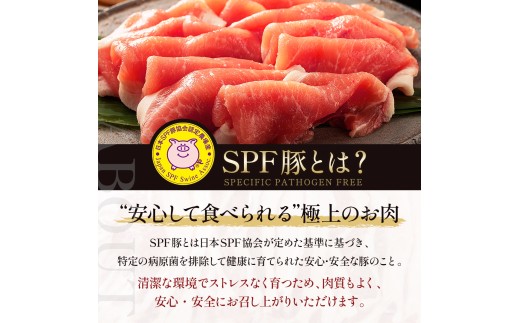 北海道産 SPF豚ロース 1kg×1袋 | 豚肉 ポーク 冷凍 厚さ約8mm 豚 ぶた肉 ブタ肉 豚ロース 肉 お肉 精肉 厚切り 熟成 北海道産 国産 とんかつ ポークソテー ステーキ カツ丼 カツ