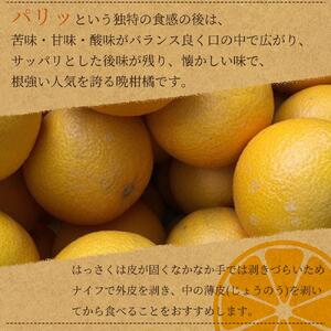 八朔（はっさく）約10kg　紀州和歌山 かつらぎ産【2025年2月上旬頃～2025年2月下旬頃に順次発送】【UT19】