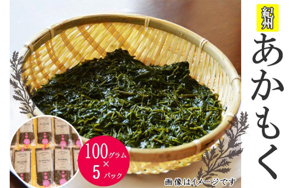 紀州あかもく［由良町産］100g×5パック（2026年産）【SL10】
