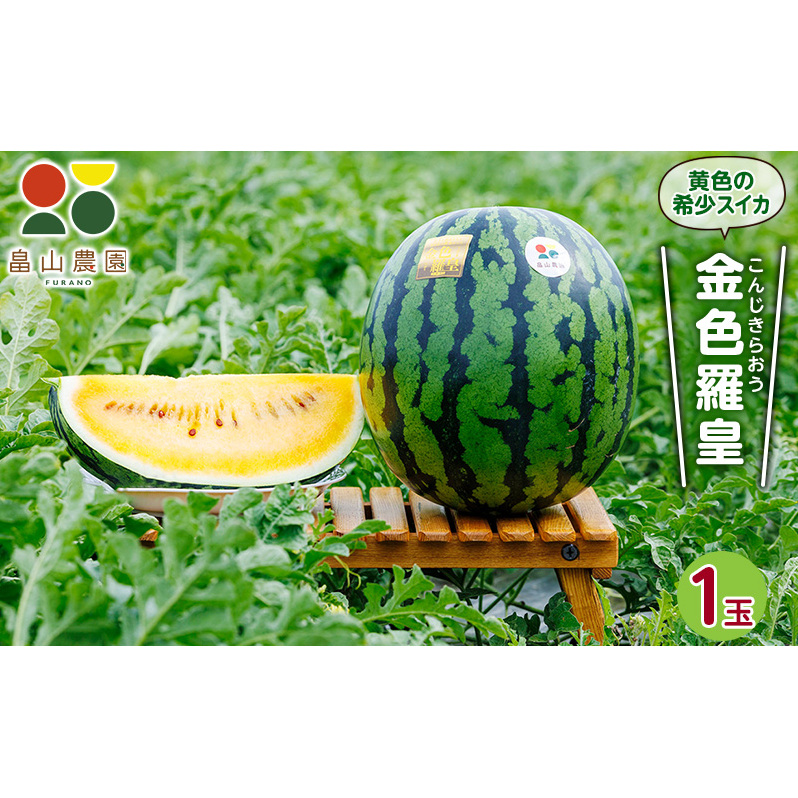 先行予約 富良野産 大玉 スイカ 金色羅皇  2L 7kg 以上×1玉 令和7年産 2026年産 北海道 富良野 ふらの 大玉 すいか 西瓜 果物 くだもの こんじきらおう 黄色 ゴールド 甘い
