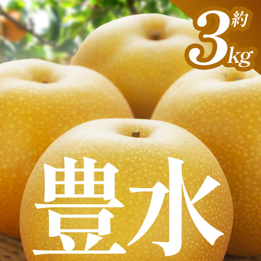 【ふるさと納税】 梨 豊水 3kg 先行予約 2025年 | 梨 なし 豊水 幸水 秋月 にっこり 果物 フルーツ デザート 定期便 限定 送料無料 栃木県 下野市