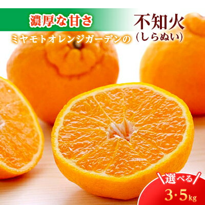 【ふるさと納税】デコポンと同品種 濃厚柑橘 不知火(しらぬい)(3kg/5kg)_ みかん ミカン 蜜柑 不知火 しらぬい 果物 くだもの フルーツ デザート おいしい 甘い かんきつ 柑橘 柑橘類 国産 愛媛 愛媛県 八幡浜市 産直 産地直送 送料無料 【G1612369】