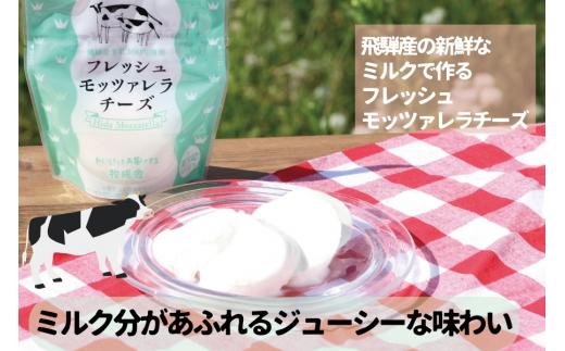 【 6ヶ月 定期便 】飛騨の新鮮モッツァレラ＆フレッシュ野菜 セット 6回お届け モッツァレラチーズ 6回 半年 チーズ ミックスリーフ 無農薬野菜 無農薬 飛騨高山 牧成舎 DF101