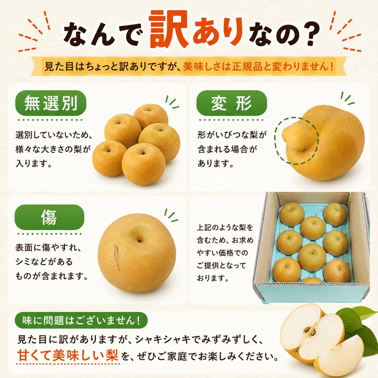 訳あり 梨 豊水 幸水 約5kg なし 梨 