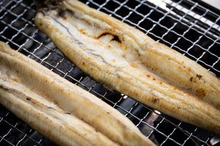 高知県産うなぎの白焼特大サイズ(180～210g)×1尾【うなぎ うなぎ うなぎ 養殖うなぎ 高知県産うなぎ 丑の日】 yw-0042