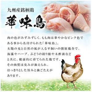 博多華味鳥 水たきセット 3～4人前 柚胡椒付(大牟田市)【配送不可地域：離島】【1642690】