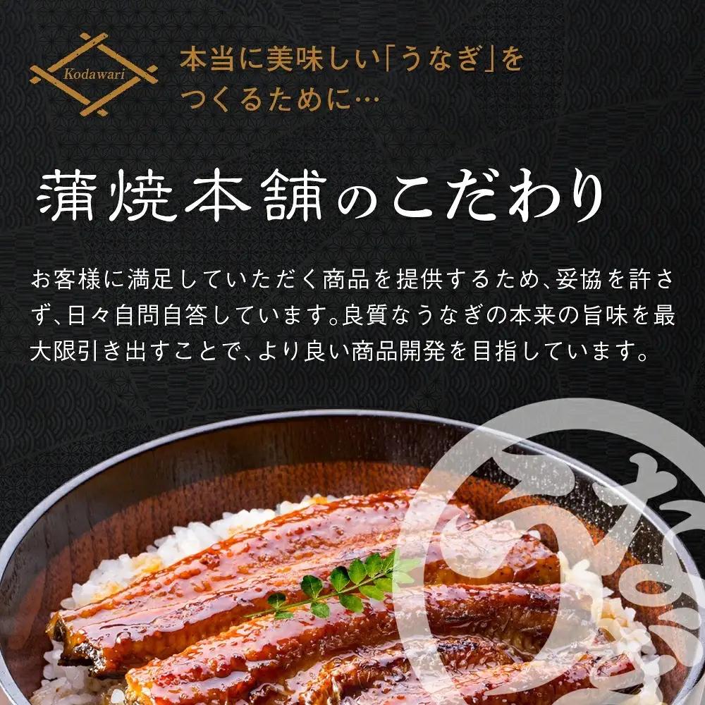 うなぎ蒲焼 中2尾 定期便6回 超絶 うなぎ