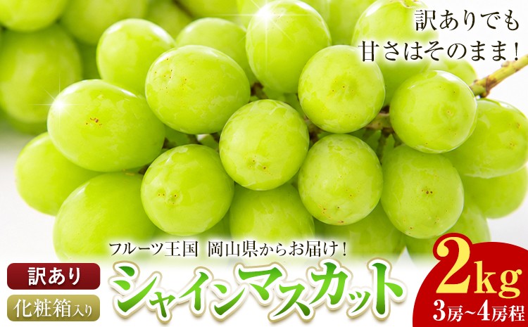 
                  訳あり フルーツ王国 岡山県産 シャインマスカット 化粧箱入り 2kg 3房～4房前後 Lino ＆ Kai Farm《10月上旬-11月中旬頃出荷》マスカット 送料無料 岡山県 浅口市 シャインマスカット 岡山 ぶどう フルーツ 果物
                