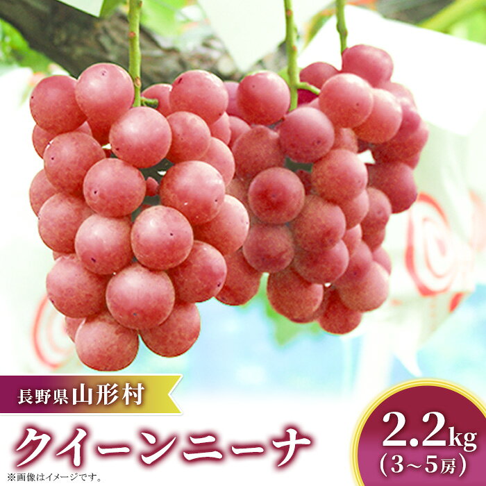 【ふるさと納税】クイーンニーナ 約2.2kg（3～5房）長野県山形村 2415