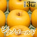 【ふるさと納税】先行予約 令和6年度産 りんご シナノゴールド 3kg 贈答用 岩手県 金ケ崎町産