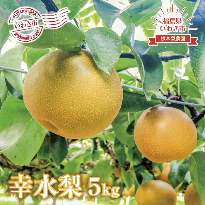 【ふるさと納税】《 先行予約 》福島県 いわき市産 梨（ 幸水 ）5kg ｜ フルーツ 果物 くだもの 食品 人気 おすすめ 送料無料