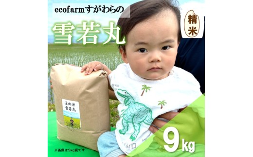 【令和8年産・精米】ecofarmすがわらの庄内米雪若丸9kg※10月上旬頃から順次配送
