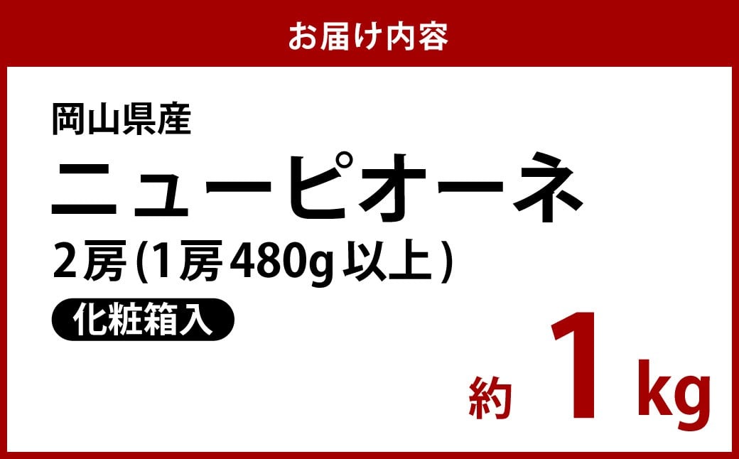 岡山県産 ニューピオーネ 2房