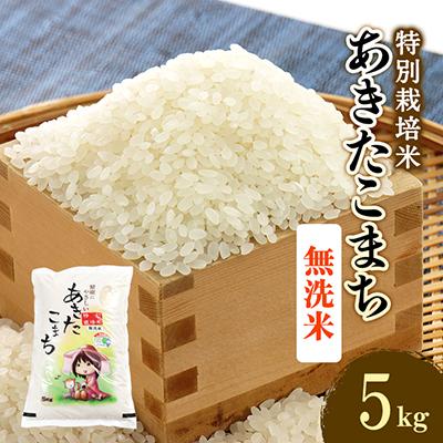 ふるさと納税 大潟村 令和7年産　特別栽培米あきたこまち　無洗米5kg