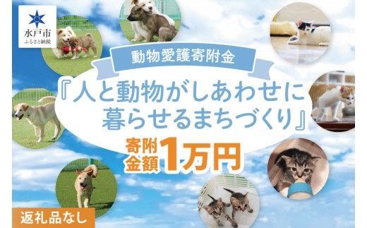 【返礼品なし】水戸市 動物愛護寄附金 Animal Welfare Donations『人と動物がしあわせに暮らせるまちづくり Creating a city where people and animals can live happily together』10000円【動物愛護 愛護活動 保護 犬 猫 いぬ ねこ 動物 ペット 応援 支援 水戸市どうぶつ愛護センター 茨城県】(LW-9)