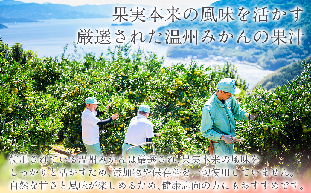 木なり「熟」みかんジュース（720ml×3本） IKTE011