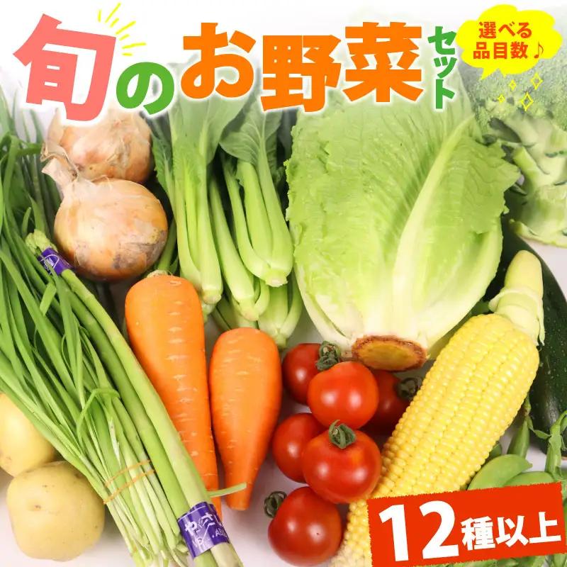 野菜セット 12品目 以上 野菜セット