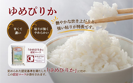 【令和7年産・無洗米・真空パック】長沼町産ゆめぴりか 2kg×1袋