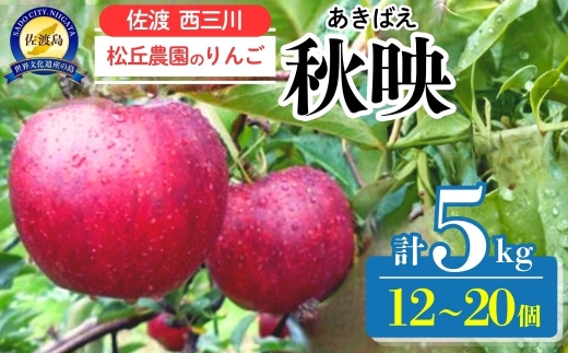 【10月上旬以降発送】佐渡西三川産 りんご「秋映（あきばえ）」12〜20個 計5kg 松丘農園 | 新潟県産りんご 新潟産りんご 佐渡産りんご 佐渡島産りんご 秋映 あきばえ りんご リンゴ 林檎 アップル フルーツ 果物 くだもの 西三川 にいがた さど 新潟県 佐渡市