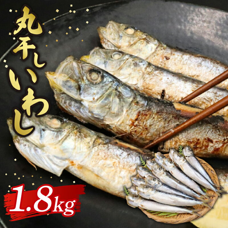 【ふるさと納税】 いわし丸干し約1.8kg いわし イワシ 鰯 鰮 マイワシ まいわし 九十九里産 丸干し 干物 九十九里 九十九里浜 冷凍 魚介類 無添加 魚介 海の幸 海 魚 贈答 ギフト プレゼント 贈答 記念日 お祝い 送料無料 千葉県 旭 有限会社鎌倉商店 千葉県 旭市